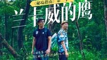 小猫钓鱼游戏龙王版有船